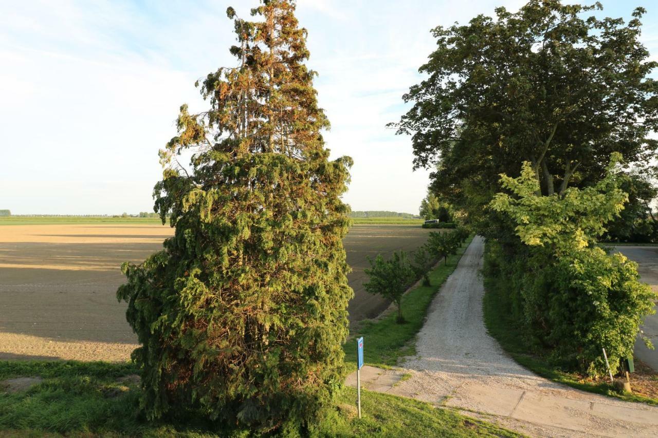 Waegen Uus Lägenhet Wolphaartsdijk Exteriör bild
